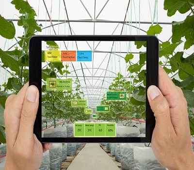 Công nghệ IoT chuyển đổi tương lai của Nông Nghiệp Thông Minh