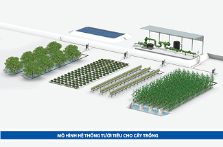 Giải Pháp Tưới Tiêu Tự Động dùng Năng Lượng Tái Tạo