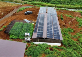 Trang Trại Nông Nghiệp Xanh kết hợp Điện Năng Lượng Mặt Trời