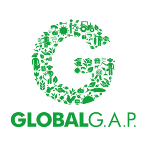Tiêu Chuẩn GlobalGap Cho Cây Ăn Trái Xuất Khẩu