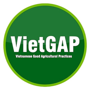 Tiêu Chuẩn VietGap Cho Cây Ăn Trái 